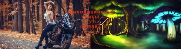 индика Алексин