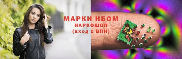 индика Алексин