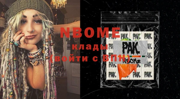 индика Алексин
