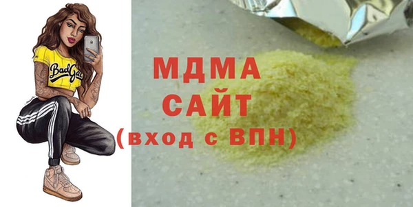 индика Алексин