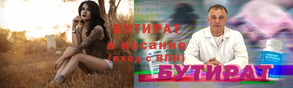 индика Алексин