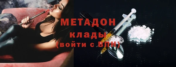 индика Алексин