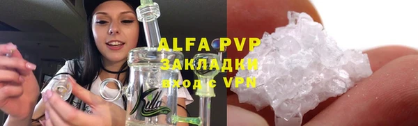 индика Алексин