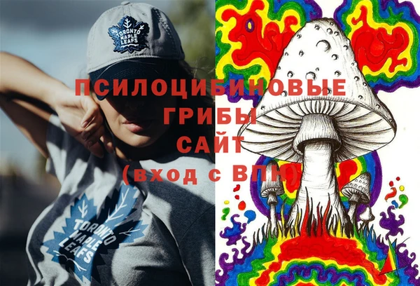 сатива Алексеевка