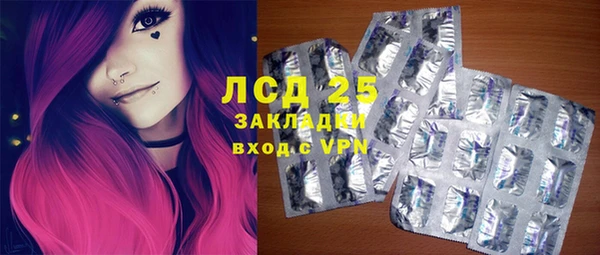 индика Алексин