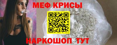 индика Гатчина