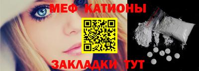 индика Гатчина
