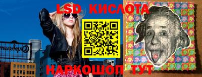 индика Гатчина