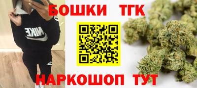 индика Гатчина