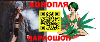 индика Гатчина