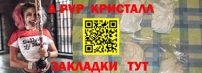индика Гатчина