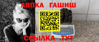 индика Гатчина