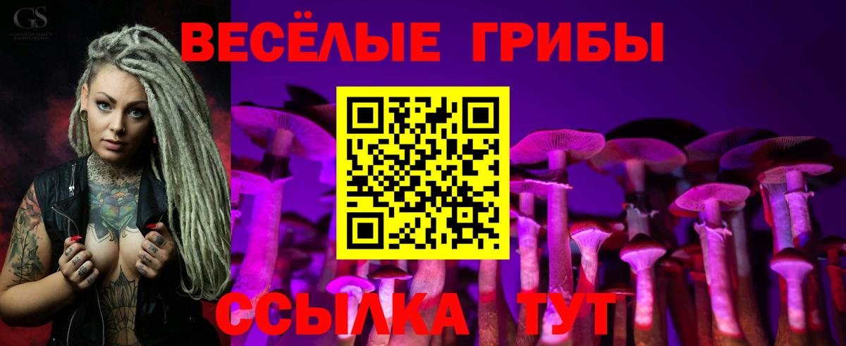 Псилоцибиновые грибы ЛСД  Вход с VPN  Галлюциногенные грибы прущие грибы  где найти   Йошкар-Ола 